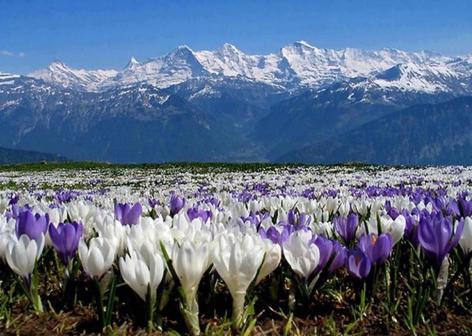 spring in kazakhstan